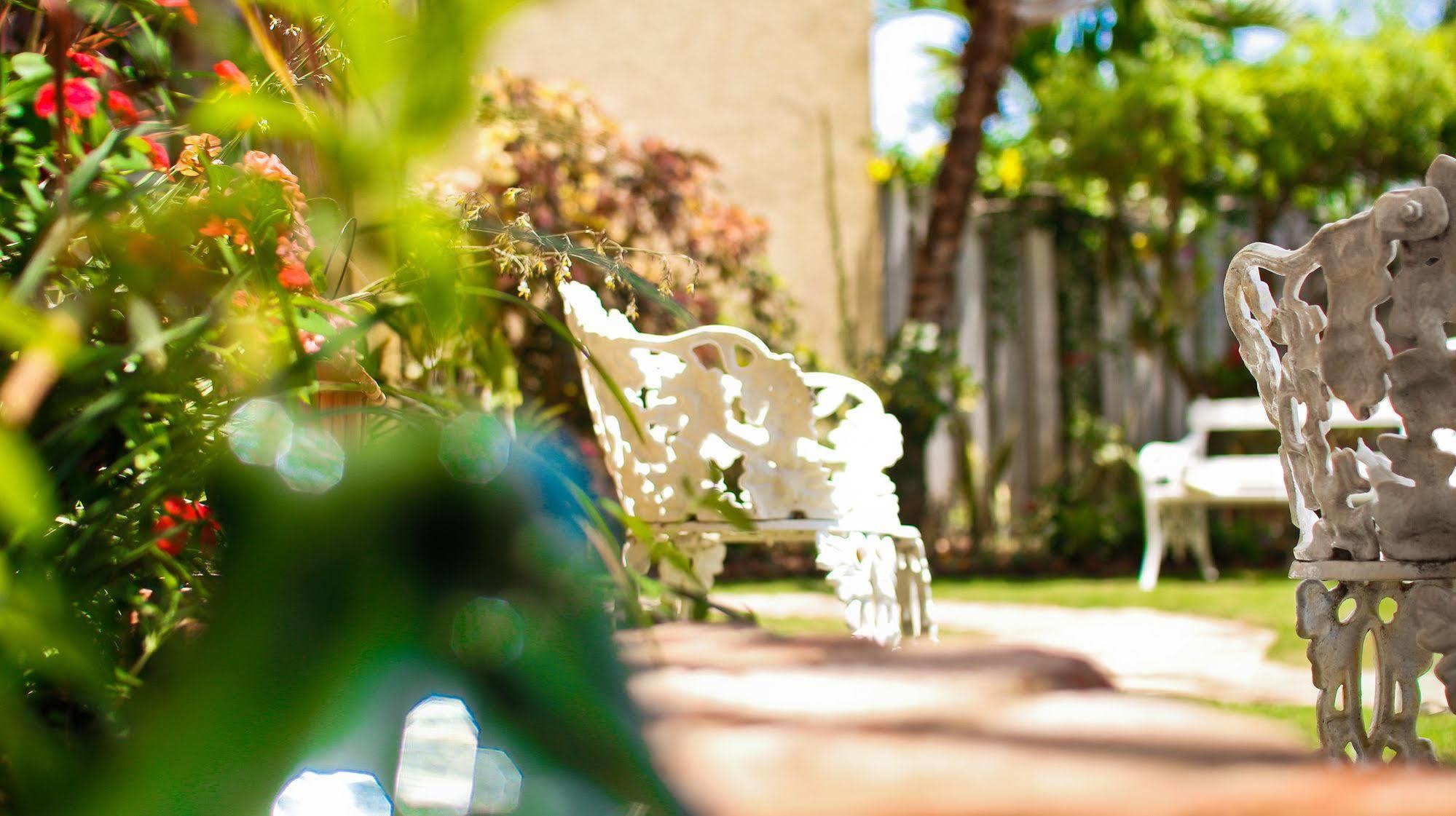 קינגסטון Cattleya Luxury Suites מראה חיצוני תמונה