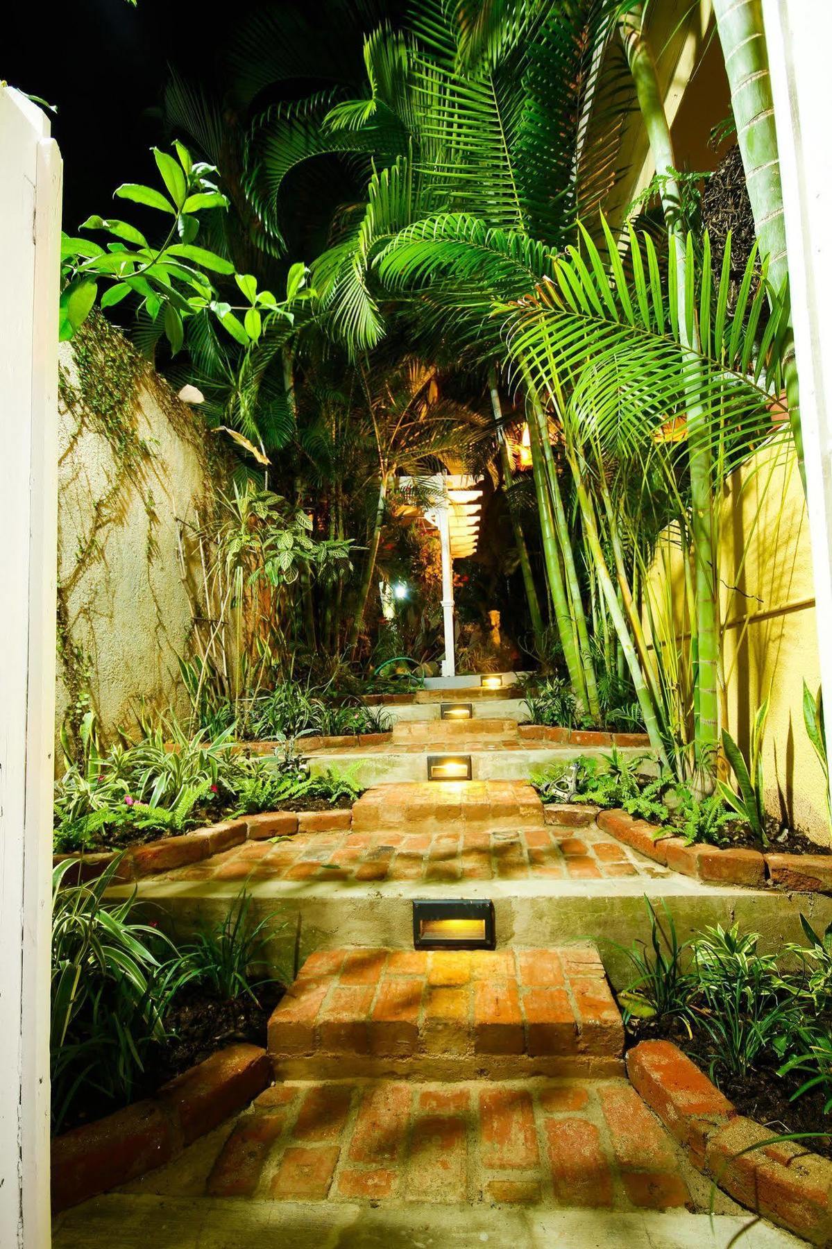 קינגסטון Cattleya Luxury Suites מראה חיצוני תמונה