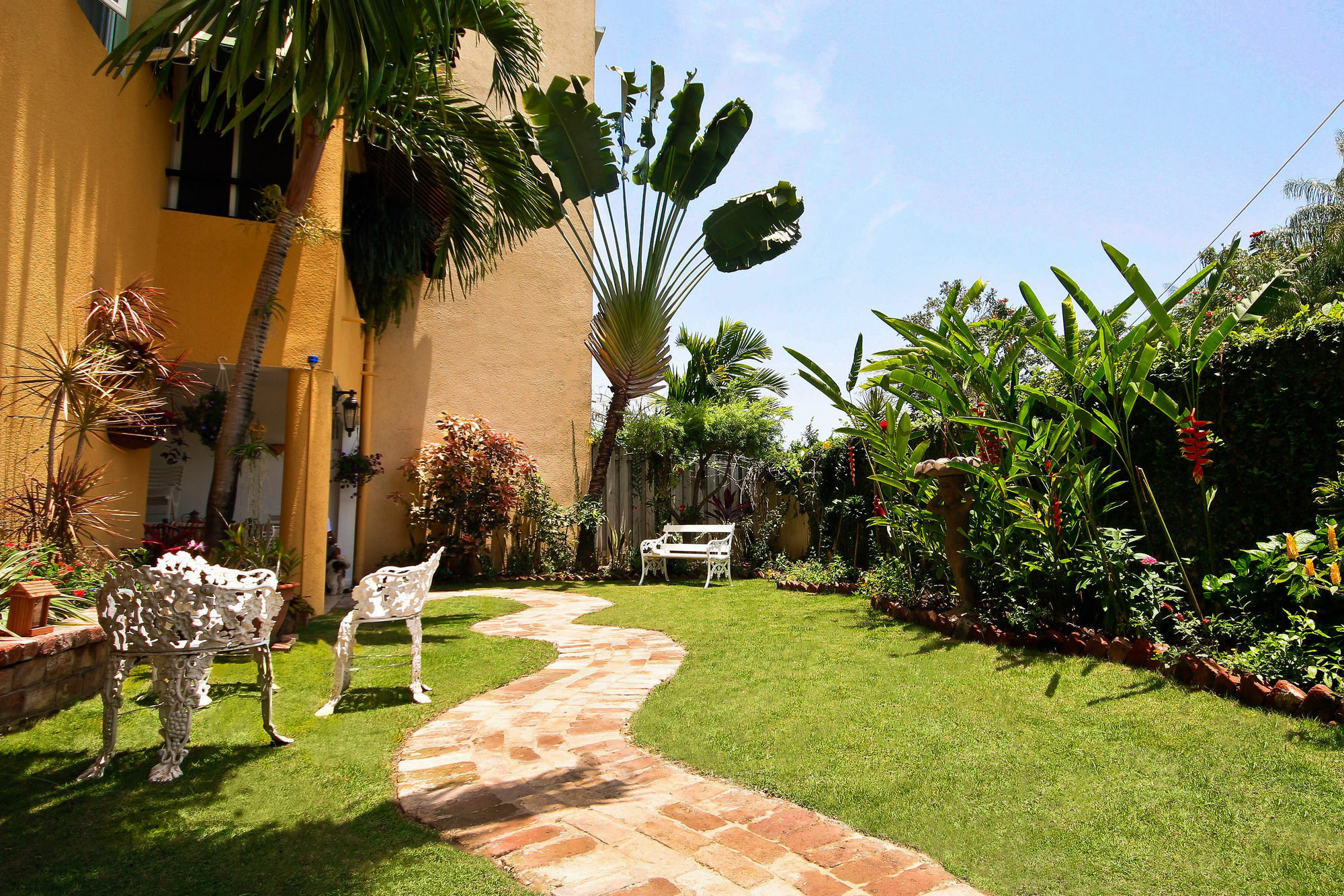 קינגסטון Cattleya Luxury Suites מראה חיצוני תמונה