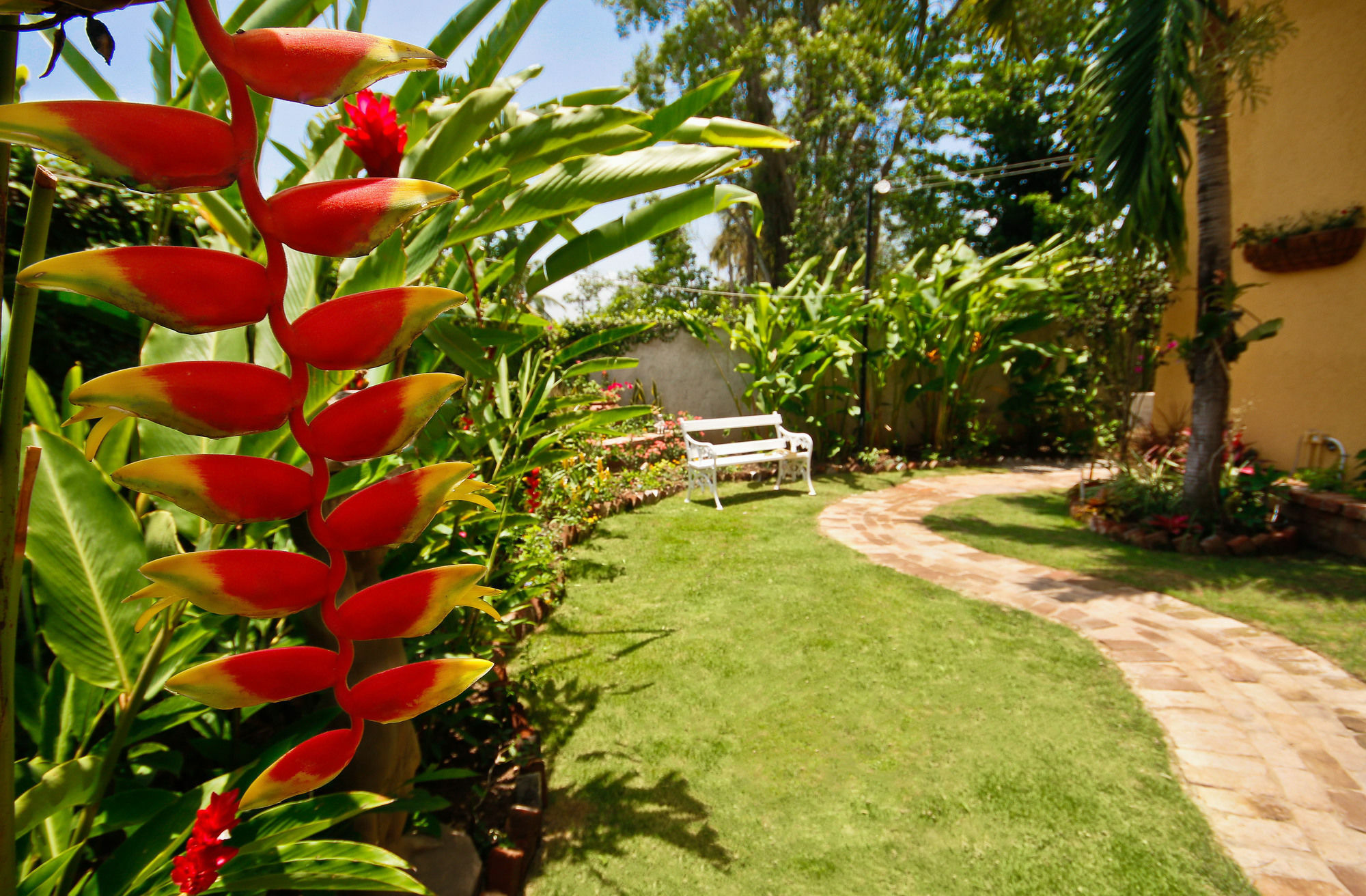 קינגסטון Cattleya Luxury Suites מראה חיצוני תמונה